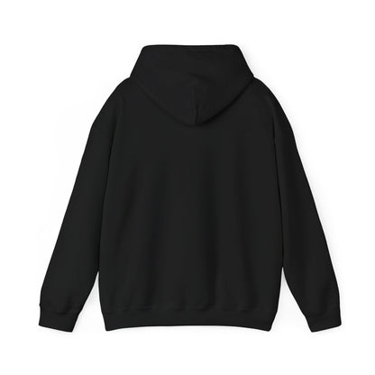 Life Is Full Of Important Choices Unisex Hoodie