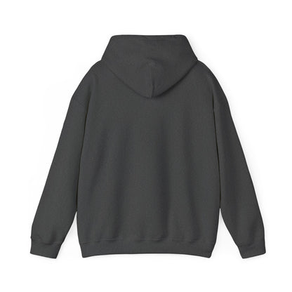 Life Is Full Of Important Choices Unisex Hoodie